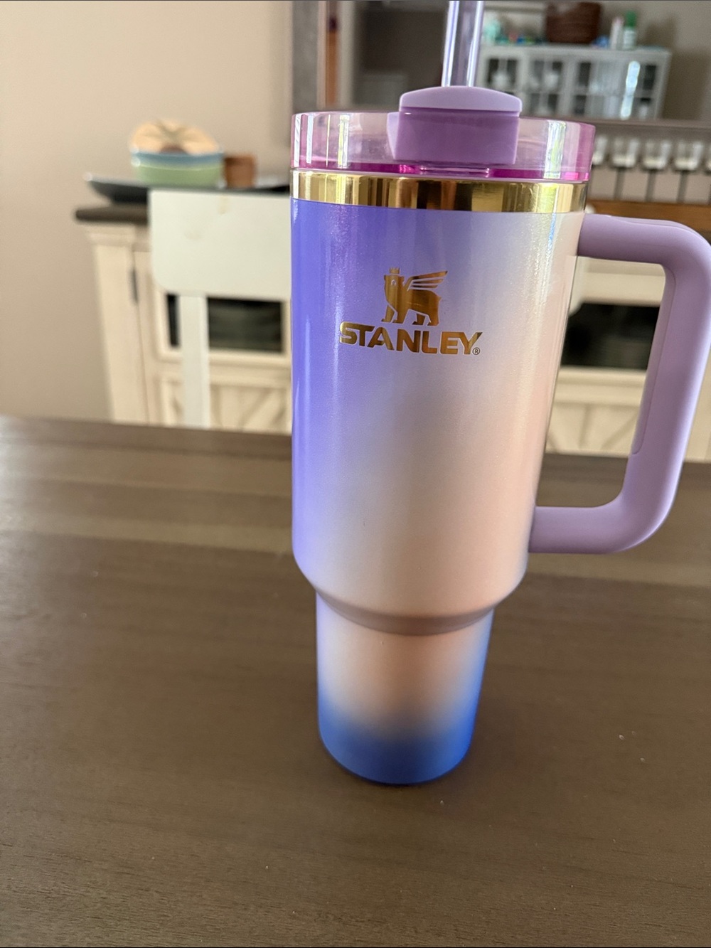 Stanley x Wicked: For Good